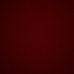 Meet your Posher, Wesley